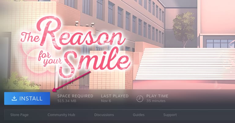 Steam game installation